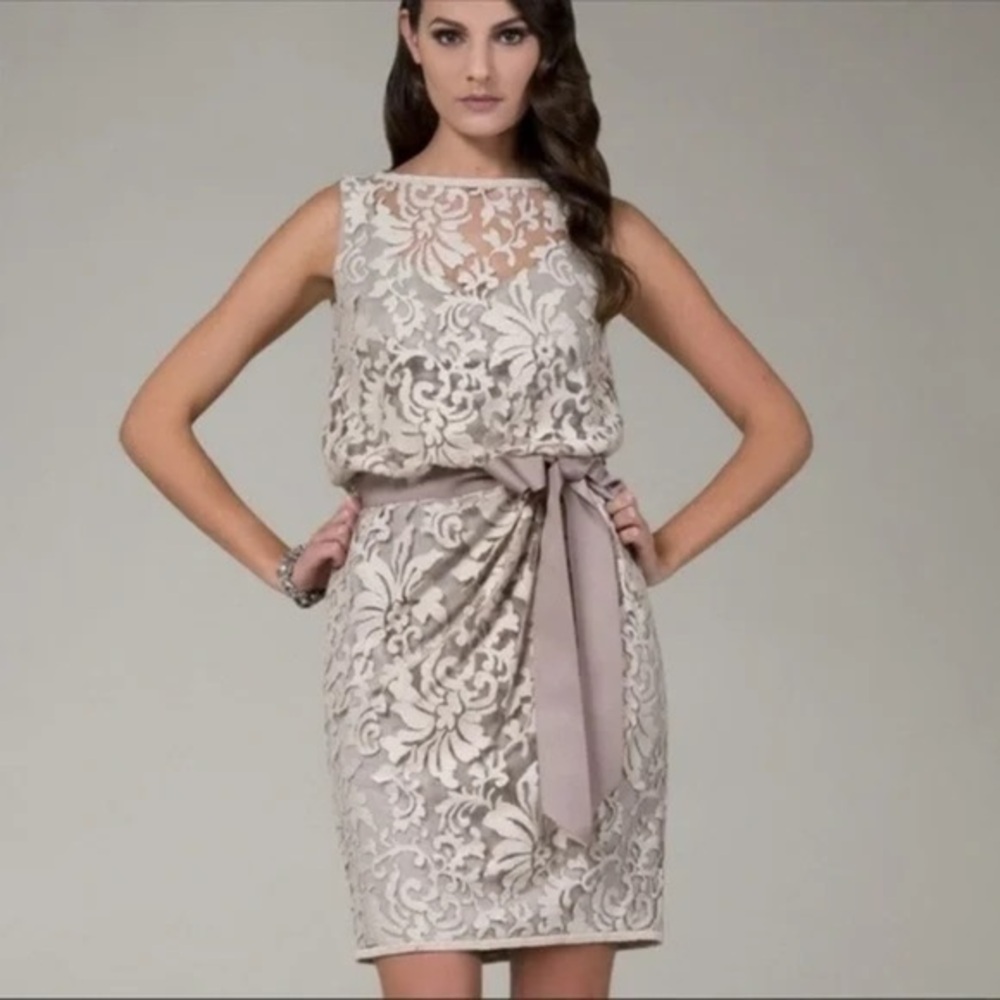 Tadashi Shoji Neutral Lace Sheath Dress in Taupe and Ivory
